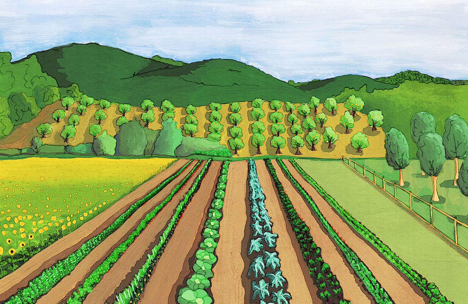 Gouache and ink of farm fields